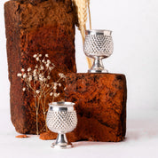 Silver Shot Glass Set