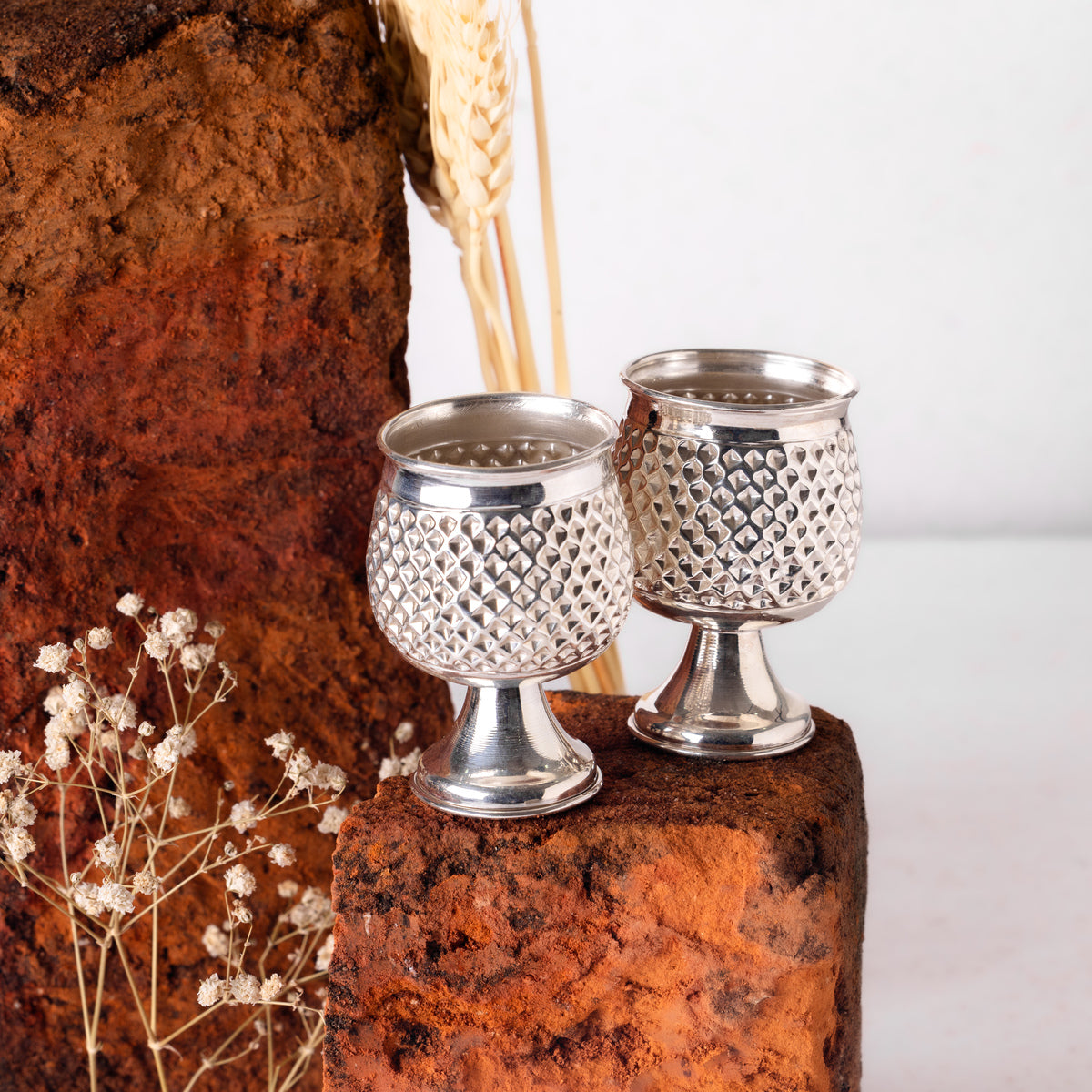 Silver Shot Glass Set