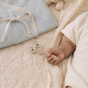 Jingle Joy Baby Rattle