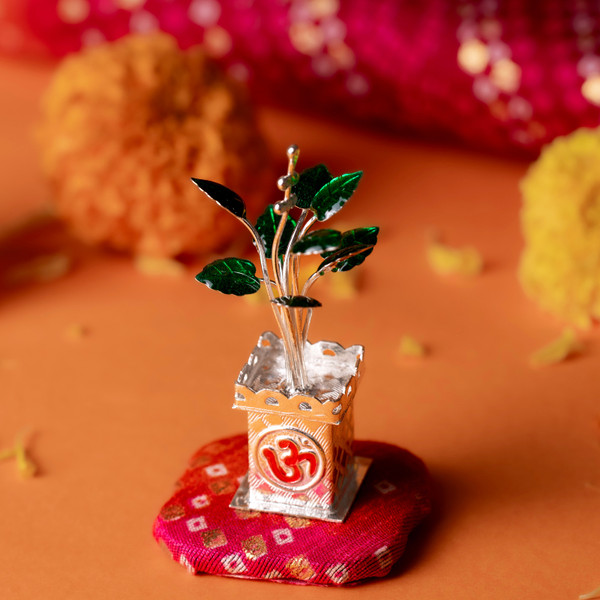 Tulsi Vardaan Silver Kyara