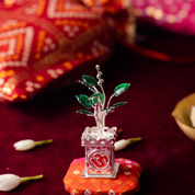 Tulsi Vardaan Silver Kyara