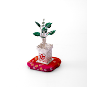 Tulsi Vardaan Silver Kyara