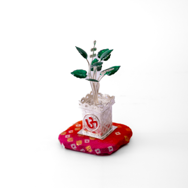 Tulsi Vardaan Silver Kyara