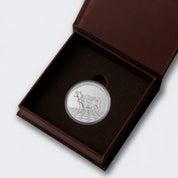 Little Blessings Silver Shagun Coin